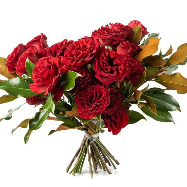 A lavish collection of our hand-selected luxurious red roses hand tied along with textural green foliage.