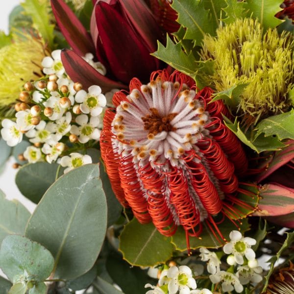 Seasonal natives in a hand-tied round structured bouquet. Featuring the best quality native flowers and botanicals